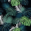 Dark and bright tropical leaves with jungle plants. Seamless vector tropical pattern with green palm and monstera