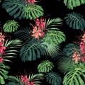 Dark and bright tropical leaves with jungle plants. Seamless vector tropical pattern with green palm and monstera leaves. Royalty Free Stock Photo