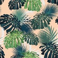 Dark and bright tropical leaves with jungle plants. Seamless vector tropical pattern with green palm and monstera Royalty Free Stock Photo