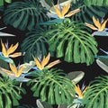 Dark and bright tropical leaves with jungle plants. Seamless vector tropical pattern with green palm and monstera leaves. Royalty Free Stock Photo