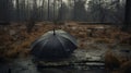 Dark And Brooding Designer: Black Umbrella In Woodland Goth Style Royalty Free Stock Photo