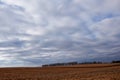 A dark brooding landscape with a field of maize