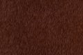 Dark brown animal hair texture background Royalty Free Stock Photo