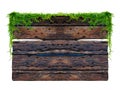 Dark brown antique plank frame background with tropical leaves and climbing vines on the edge of the plank