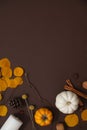 Dark brown background with small pumpkins, dried autumn leaves and dried seeds creatively decorated. Space for display or design Royalty Free Stock Photo