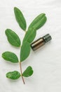 Dark Brown Bottle with Essential Oil Tree Branch with Fresh Green Leaves on White Linen Cotton Fabric Background. Ayurveda