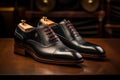 dark brown classic shoes for man new collection shine. Royalty Free Stock Photo