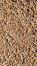dark brown coriander seeds for texture and background