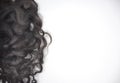 Dark brown curly hair on the white background