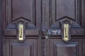 Dark brown glossy painted wooden double door with shabby surface closeup. Aged wood panels with shiny brass vintage door handles. Royalty Free Stock Photo