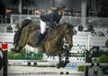 Dark brown horse jumping over equestrian hurdle woman rider looking left