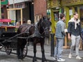 Dark brown horse tethered to carriage outside a pub in Temple Bar, Dublin, Ireland.