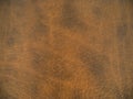 Dark brown leather background texture Royalty Free Stock Photo