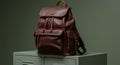 Dark Brown Leather Backpack on Green Background Royalty Free Stock Photo