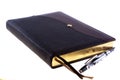Dark brown leather diary with nacre pen