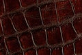 Dark brown leather texture Royalty Free Stock Photo