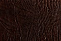 Dark brown leather texture Royalty Free Stock Photo