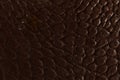 Dark brown leather texture Royalty Free Stock Photo