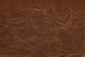 Dark brown leather texture background with seamless pattern and high resolution Royalty Free Stock Photo