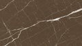 Dark Brown Marble Texture Royalty Free Stock Photo