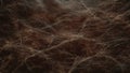 Dark Brown Marble Texture with White Veins Royalty Free Stock Photo