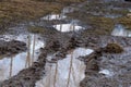 dark brown path with muddy pits and large puddles. Dirt road in village. Difficulties of traveling on country road during rainy Royalty Free Stock Photo