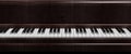 Dark brown piano keys front view