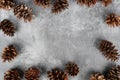 Dark brown pine cones form a full frame border around a textured gray cement background Royalty Free Stock Photo