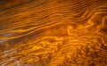 Dark brown shiny wooden surface for texture background