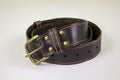 Dark brown stitched leather belt with yellow buckle and rivets on a white background Royalty Free Stock Photo