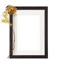 Dark brown wooden rectangle frame with white passe-partout and dry golden hydrangea flower isolated on white background Royalty Free Stock Photo