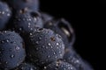 Dark bunch of grape in low light on black background , macro shot , water drops Royalty Free Stock Photo