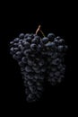 Dark bunch of grape in low light on black isolated background , macro shot , water drops Royalty Free Stock Photo