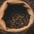 Dark burlap sack holding freshly harvested coffee beans Royalty Free Stock Photo