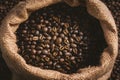 Dark burlap sack holding freshly harvested coffee beans Royalty Free Stock Photo