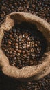 Dark burlap sack holding freshly harvested coffee beans Royalty Free Stock Photo