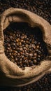 Dark burlap sack holding freshly harvested coffee beans Royalty Free Stock Photo