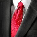 Dark Business Suit White Shirt Red Tie Formal Wear Fashion Royalty Free Stock Photo