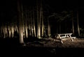 Dark Camp Site with Picnic Table Royalty Free Stock Photo