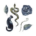 Dark Cartoon Animal Design. Black rose, snake, cat Print Tattoo. Halloween watercolor set. Rose Wildlife Art