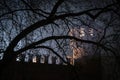 Dark Castle in the middle of the forest