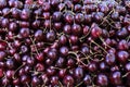 Dark cherries pattern. Fruits background Royalty Free Stock Photo