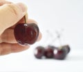 A dark cherry held in a hand on a blurred background