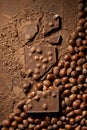 Dark chocolate background by hazelnut chocolate pieces, whole filberts and cocoa powder