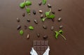 Dark chocolate bar with peppermint and cocoa beans Royalty Free Stock Photo