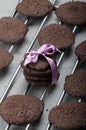 Dark chocolate biscuits Royalty Free Stock Photo