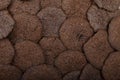 Dark chocolate biscuits Royalty Free Stock Photo