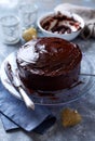 Dark Chocolate Cake with Chocolate Glaze for Christmas Royalty Free Stock Photo