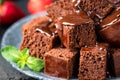 Dark chocolate cake cut in squares