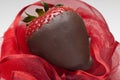 Dark Chocolate Covered Strawberry Royalty Free Stock Photo